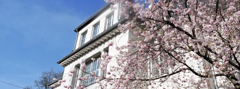 fiw slider frühling