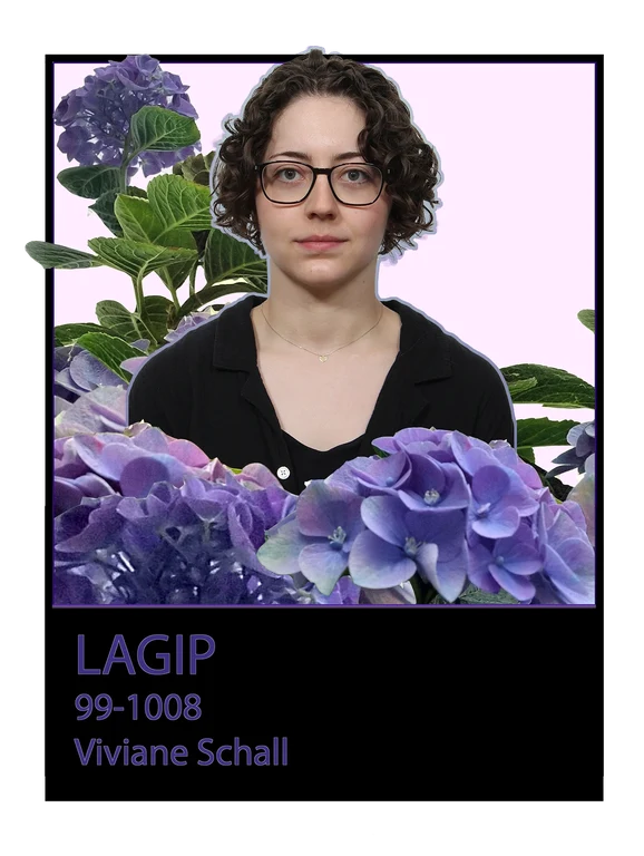 Vivi Website kleiner.png