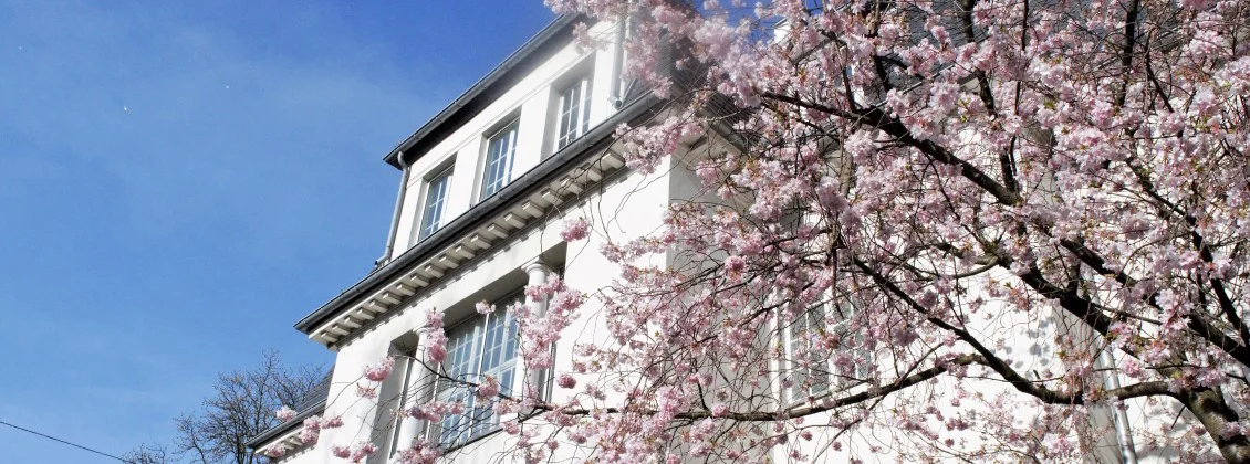 fiw slider frühling